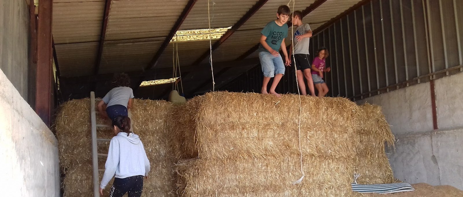 Children clambering over stacked hay bales in a barn, one climbing a ladder